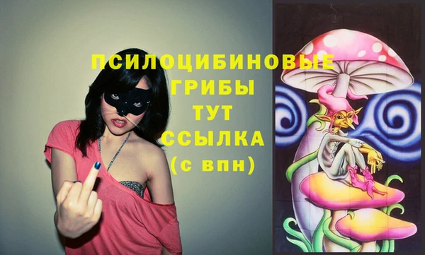 не бодяженный Абаза