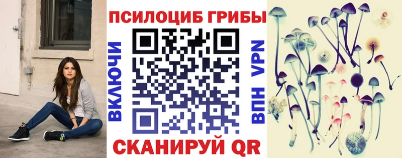 MEGA как войти  Кировград  Псилоцибиновые грибы мухоморы 